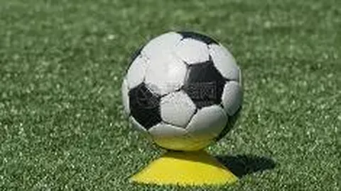 英皇娱乐 产品 073701 znz