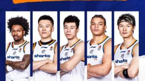 大乐透期号专家质合分析：勒沃库森VS美因茨单选推荐